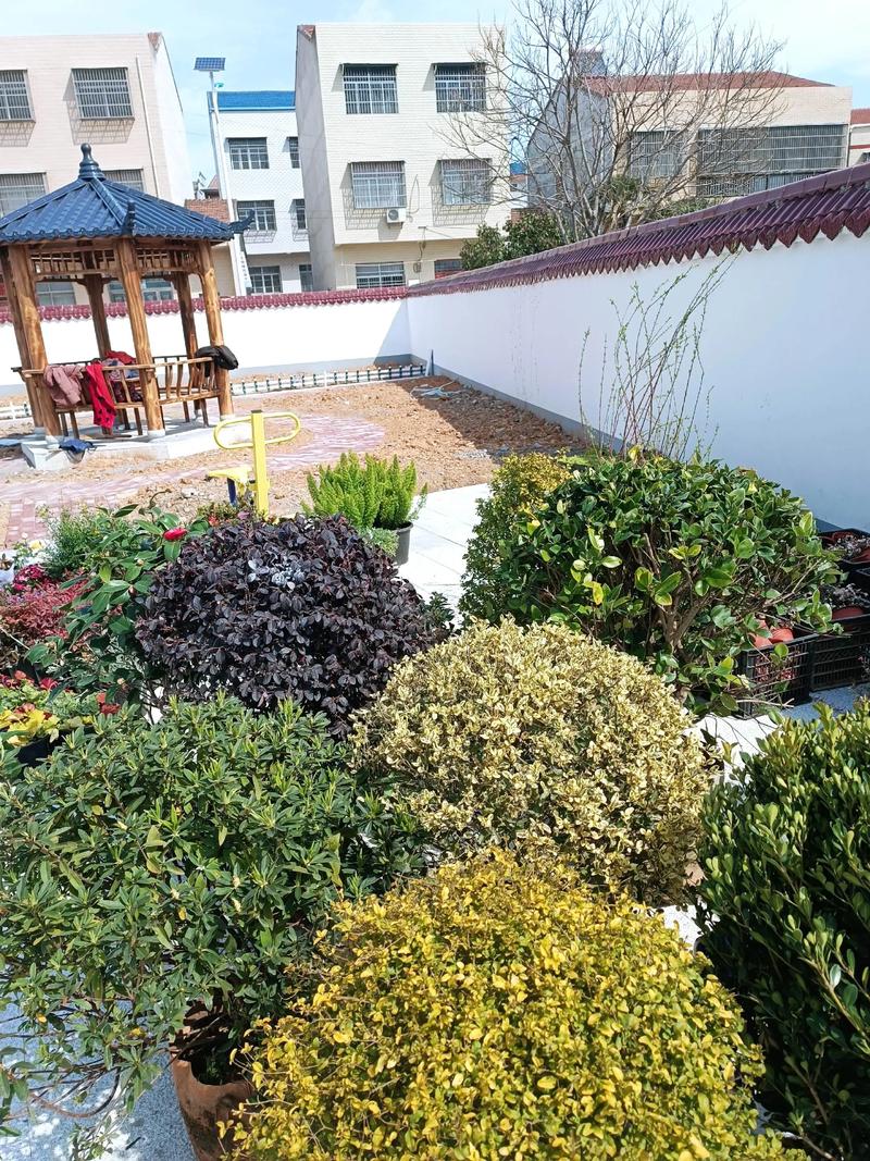 單位綠化施工現(xiàn)場紀實 園林景觀中的假山營造藝術(shù)